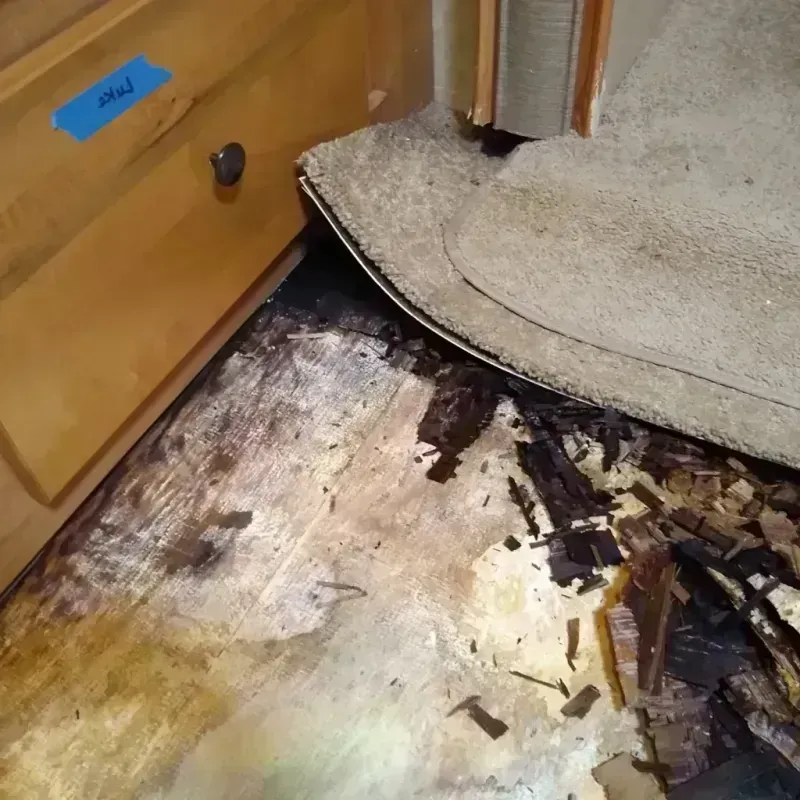 Wood Floor Water Damage in Leland, NC